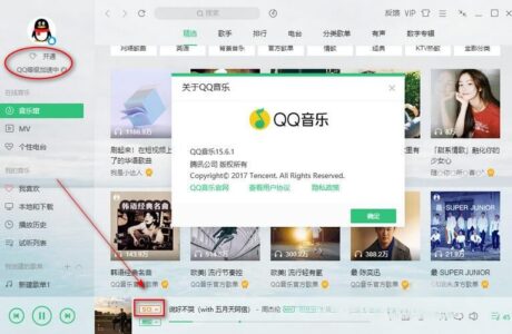 精品软件QQ音乐_v18.91_for_Windows 去广告绿色版