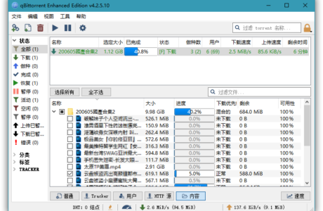 精品软件qBittorrent v4.4.4.10增强便携版