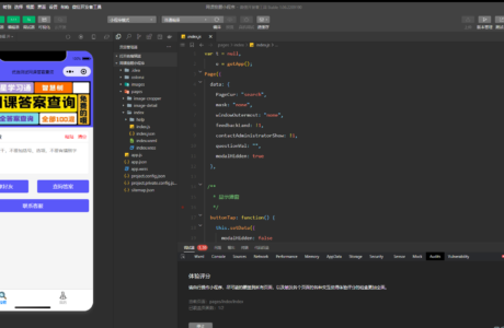 热门网课搜题微信小程序源码 – 小猿题库多接口版本