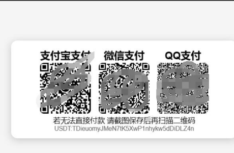 Payment Code源码实现多钱包收款码的自适应网页源码分享