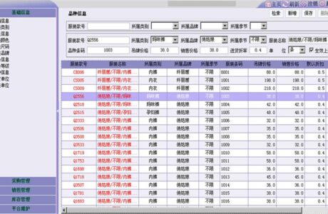 JAVA服装进销存  进销存管理 服装进销存管理系统源码免费下载